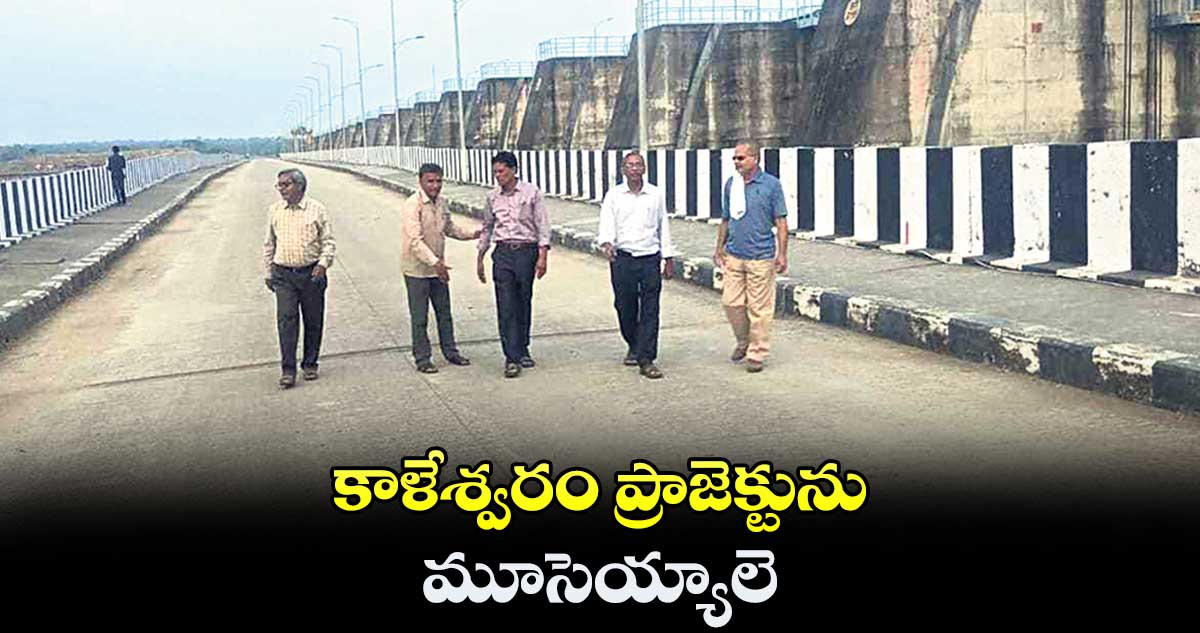 కాళేశ్వరం ప్రాజెక్టును మూసెయ్యాలె : ఆకునూరి మురళి