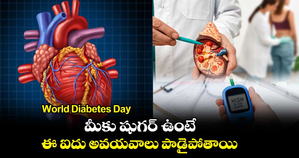 World Diabetes Day : మీకు షుగర్ ఉంటే.. ఈ ఐదు అవయవాలు పాడైపోతాయి
