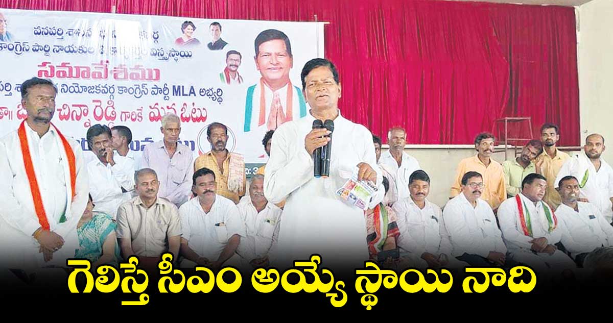 గెలిస్తే సీఎం అయ్యే స్థాయి నాది : చిన్నారెడ్డి