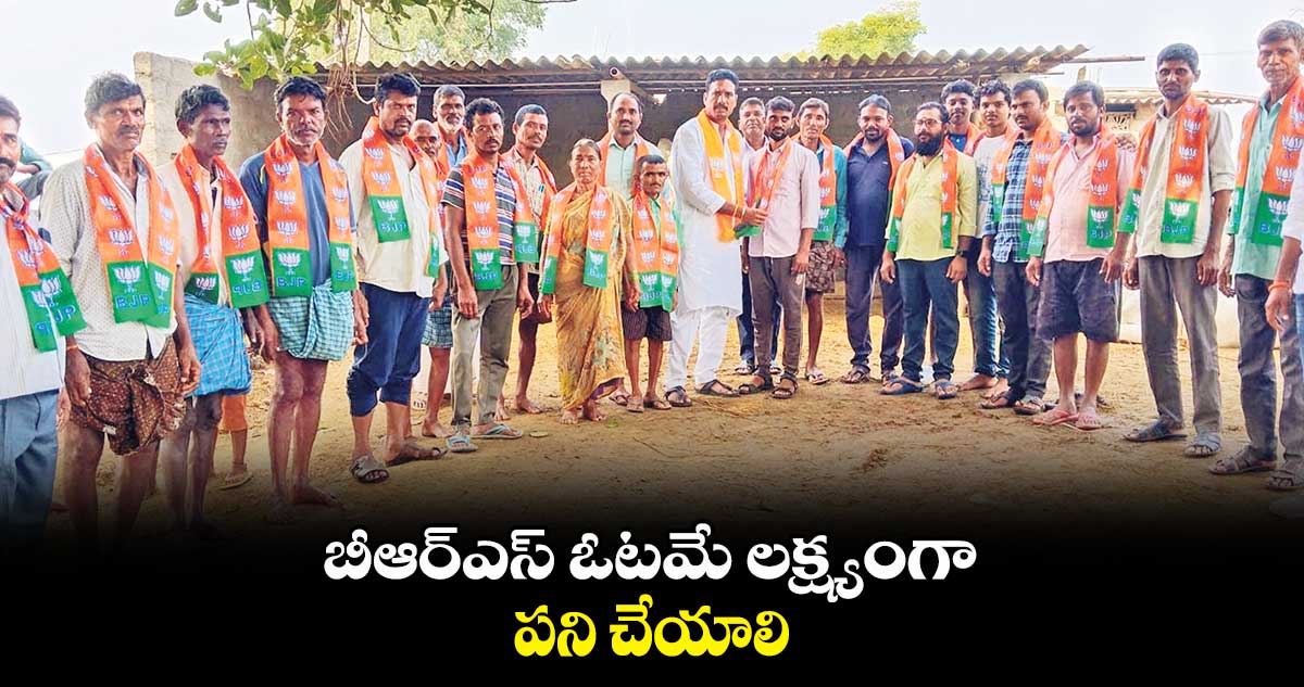 బీఆర్‌‌ఎస్‌‌ ఓటమే లక్ష్యంగా పని చేయాలి:  హుస్సేన్‌‌ నాయక్‌‌