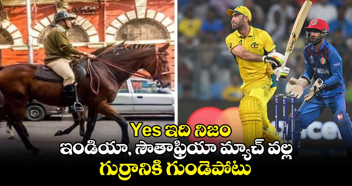 Yes ఇది నిజం : ఇండియా, సౌతాఫ్రియా మ్యాచ్ వల్ల గుర్రానికి గుండెపోటు..