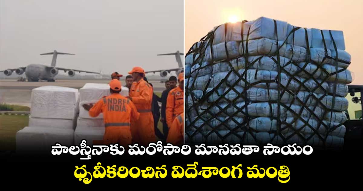 పాలస్తీనాకు మరోసారి మానవతా సాయం.. ధృవీకరించిన విదేశాంగ మంత్రి