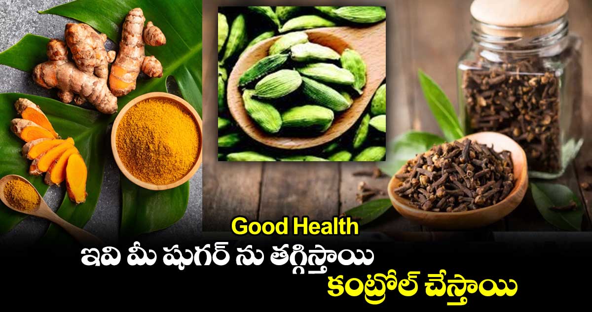 Good Health : ఇవి మీ షుగర్ ను తగ్గిస్తాయి.. కంట్రోల్ చేస్తాయి