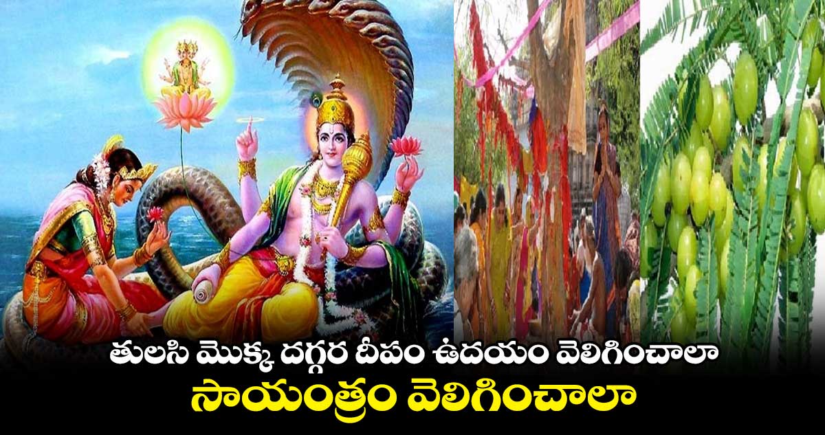  తులసి మొక్క దగ్గర దీపం ఉదయం వెలిగించాలా.. సాయంత్రం వెలిగించాలా.