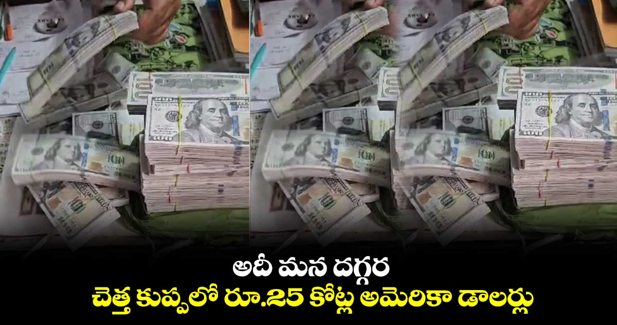 అదీ మన దగ్గర.. చెత్త కుప్పలో రూ.25 కోట్ల అమెరికా డాలర్లు..