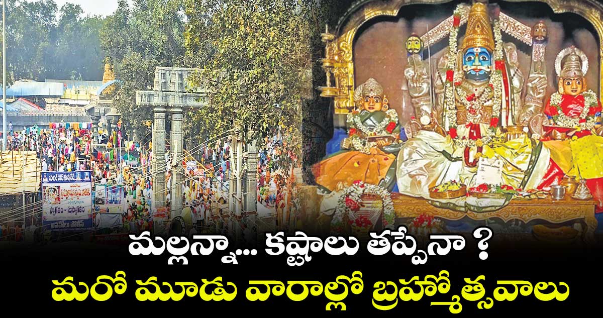 మల్లన్నా... కష్టాలు తప్పేనా ?