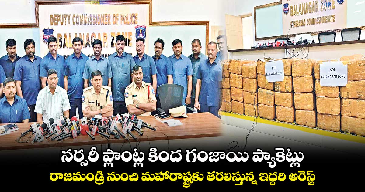 నర్సరీ ప్లాంట్ల కింద గంజాయి ప్యాకెట్లు .. రాజమండ్రి నుంచి మహారాష్ట్రకు తరలిస్తున్న ఇద్దరి అరెస్ట్