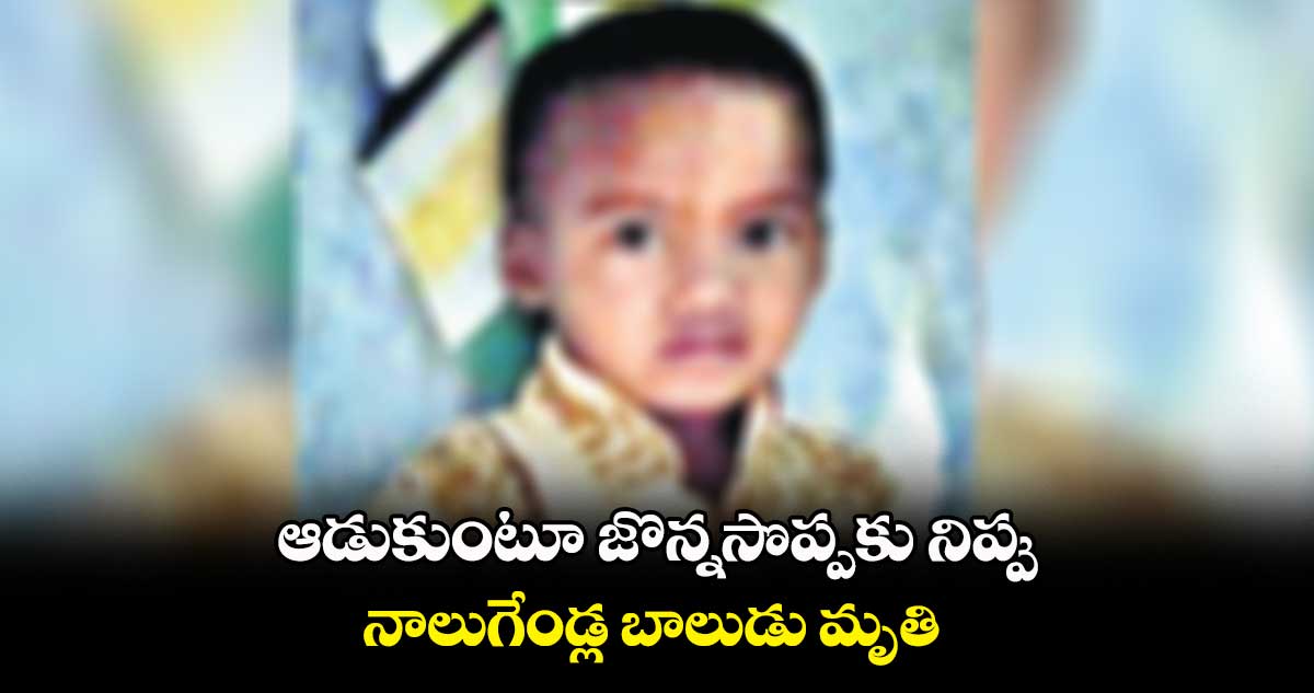 ఆడుకుంటూ జొన్నసొప్పకు నిప్పు..నాలుగేండ్ల బాలుడు మృతి