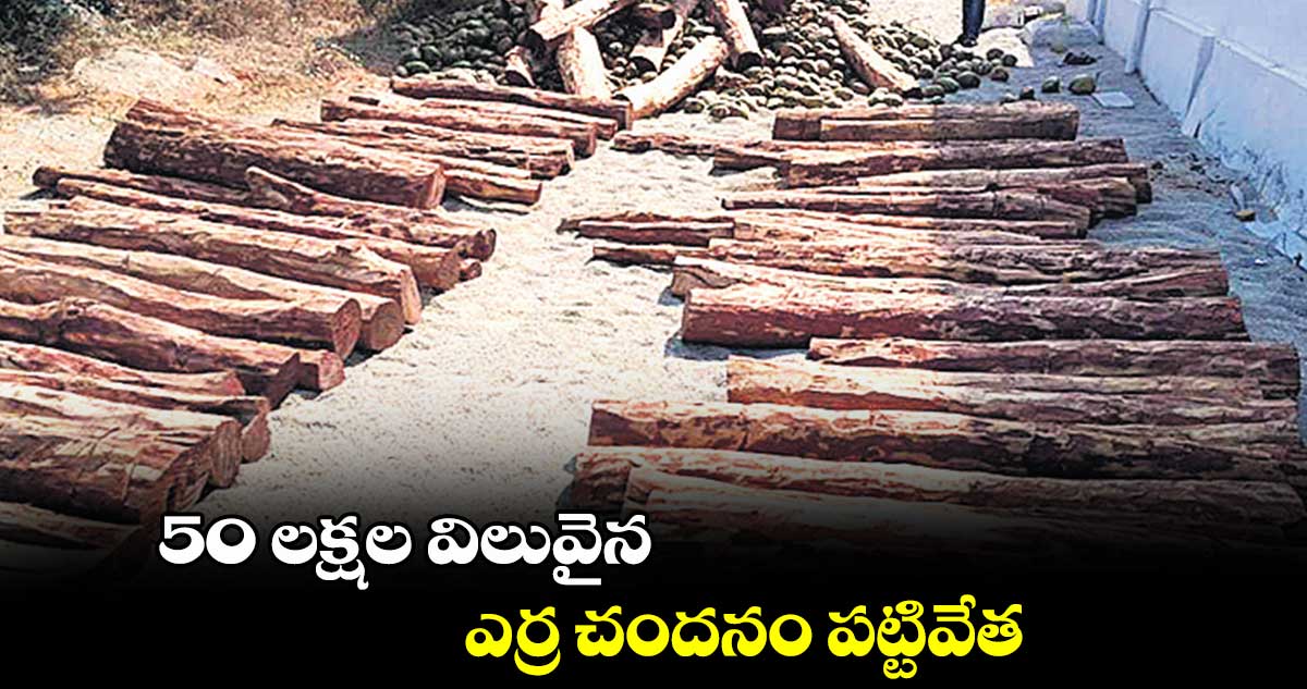 50 లక్షల విలువైన ఎర్ర చందనం పట్టివేత 