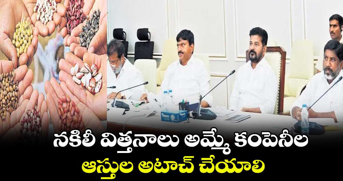 నకిలీ విత్తనాలు అమ్మే కంపెనీల ఆస్తుల అటాచ్: సీఎం రేవంత్