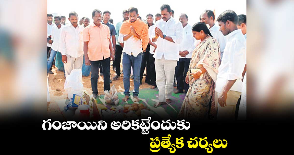 గంజాయిని అరికట్టేందుకు ప్రత్యేక చర్యలు :  మేఘా రెడ్డి