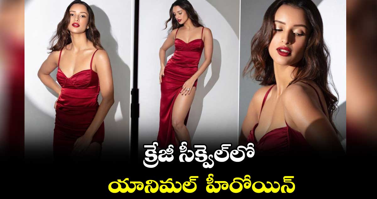 క్రేజీ సీక్వెల్‌‌‌‌లో యానిమల్  హీరోయిన్‌‌‌‌