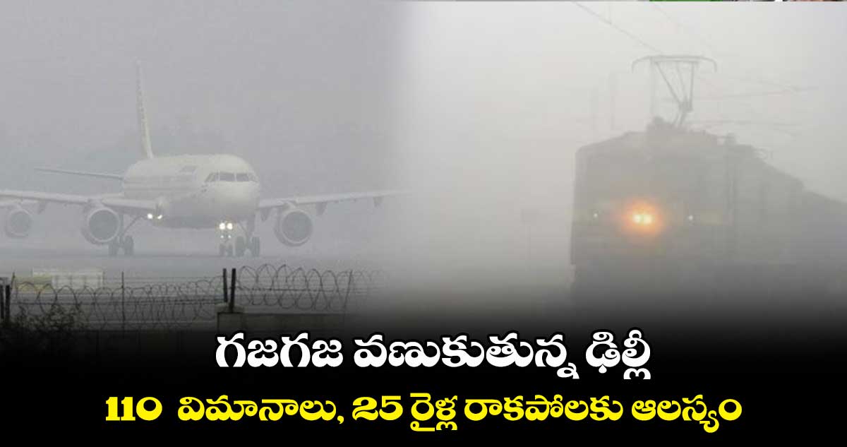 గజగజ వణుకుతున్న ఢిల్లీ..  110  విమానాలు, 25 రైళ్ల రాకపోలకు ఆలస్యం 