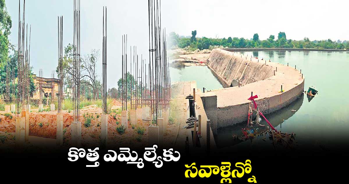 కొత్త ఎమ్మెల్యేకు సవాళ్లెన్నో..