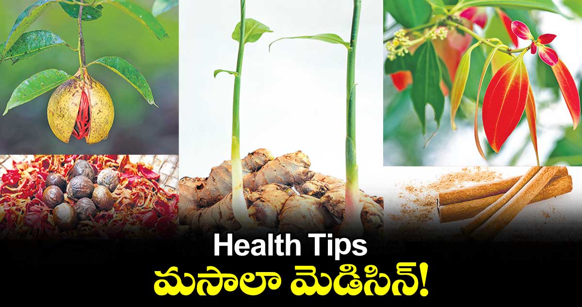 Health Tips: మసాలా మెడిసిన్​!