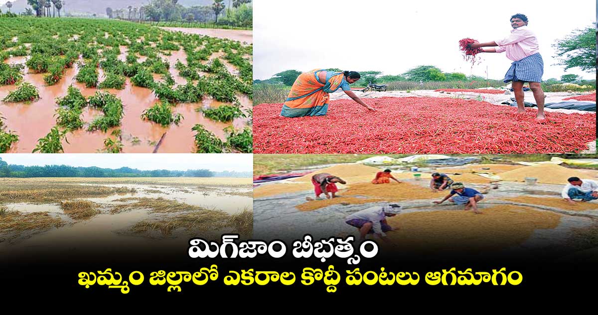 మిగ్​జాం బీభత్సం..ఖమ్మం జిల్లాలో ఎకరాల కొద్దీ పంటలు ఆగమాగం