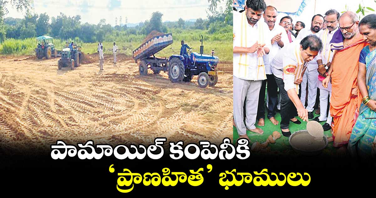 పామాయిల్ కంపెనీకి ప్రాణహిత భూములు 