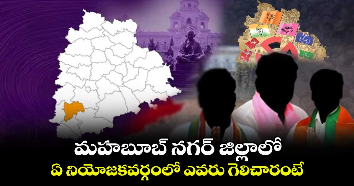 మహబూబ్ నగర్ జిల్లాలో ఏ నియోజకవర్గంలో ఎవరు గెలిచారంటే..