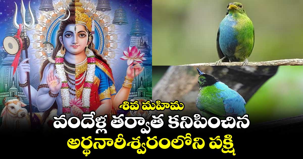 శివ మహిమ : వందేళ్ల తర్వాత కనిపించిన అర్థనారీశ్వరంలోని పక్షి