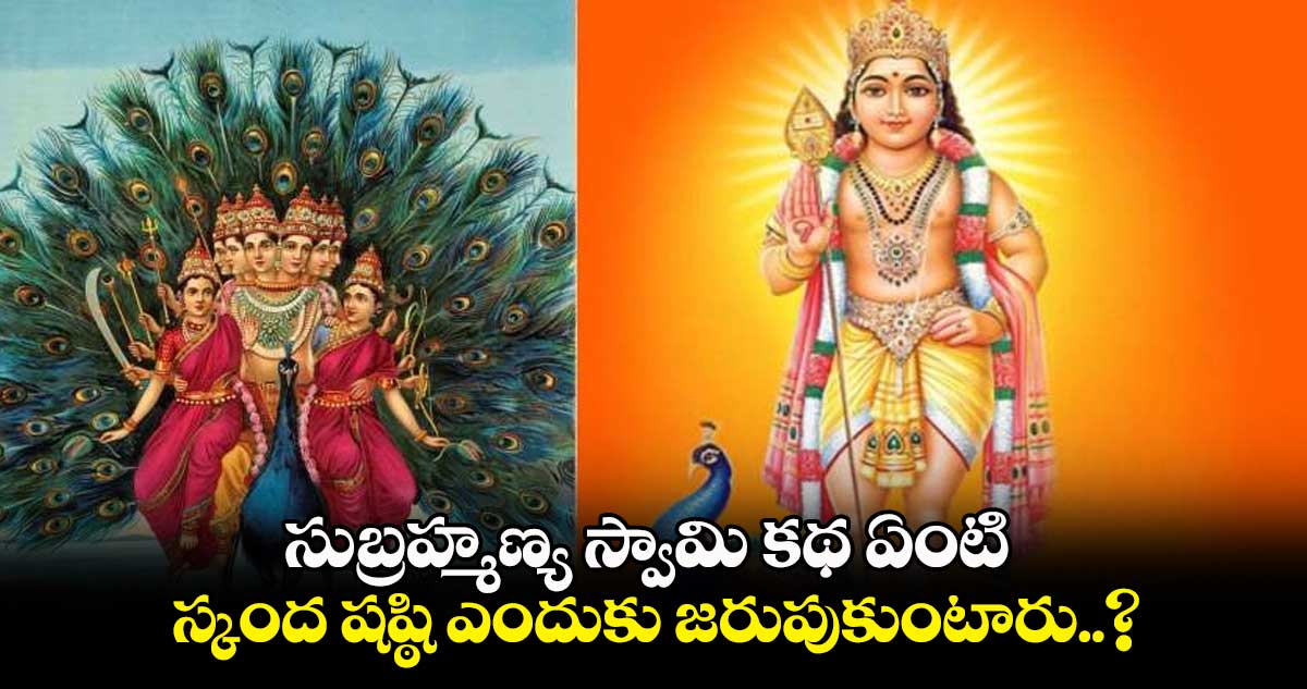 సుబ్రహ్మణ్య స్వామి కథ ఏంటి.. స్కంద షష్ఠి ఎందుకు జరుపుకుంటారు..?