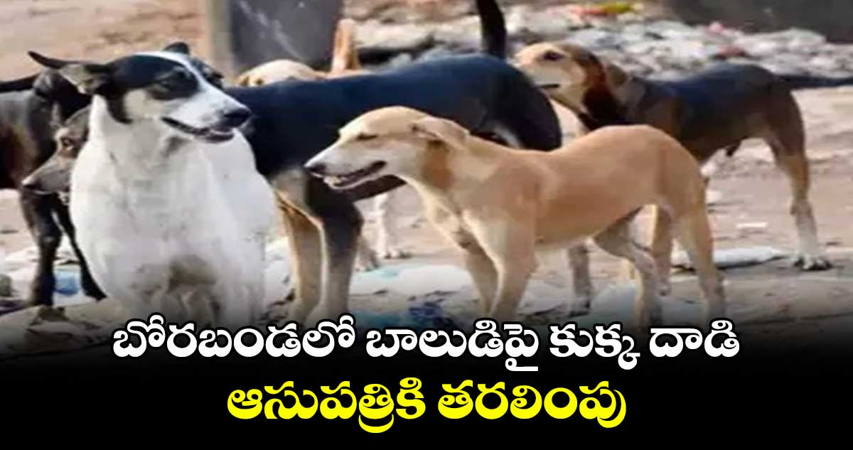 బోరబండలో బాలుడిపై కుక్క దాడి.. ఆసుపత్రికి తరలింపు