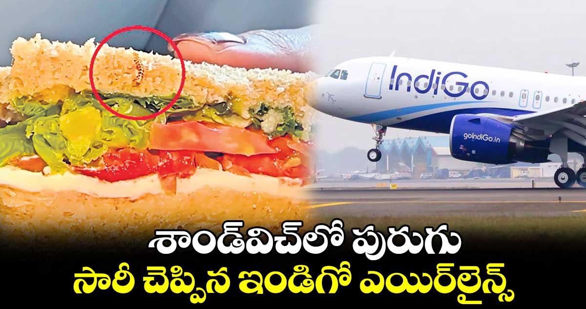 శాండ్విచ్లో పురుగు.. సారీ చెప్పిన ఇండిగో ఎయిర్లైన్స్