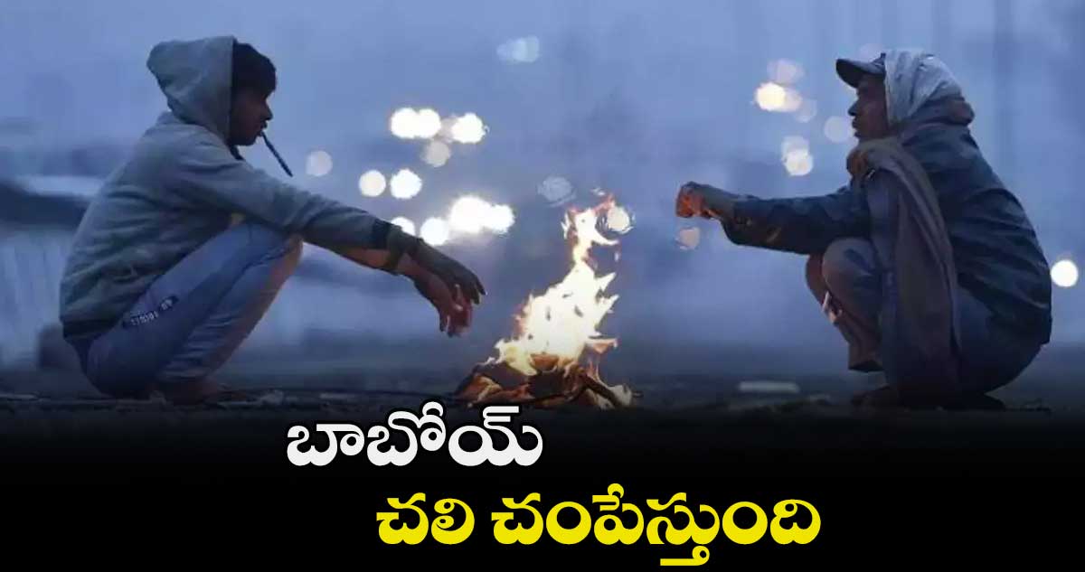 బాబోయ్ ... చలి చంపేస్తుంది..