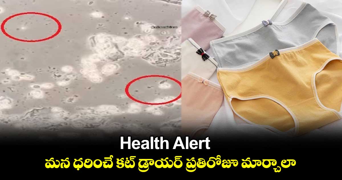 Health Alert : మన ధరించే కట్ డ్రాయర్ ప్రతిరోజూ మార్చాలా..