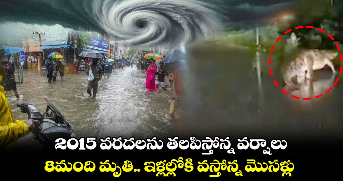 2015వరదలను తలపిస్తోన్న వర్షాలు.. 8మంది మృతి.. ఇళ్లల్లోకి వస్తోన్న మొసళ్లు