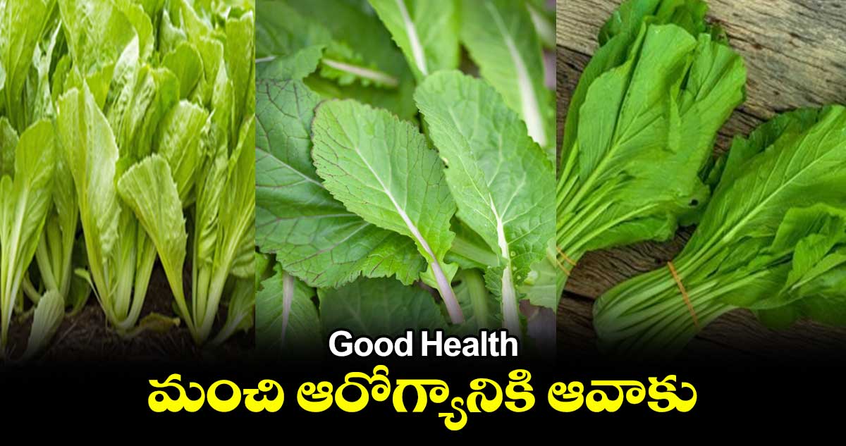 Good Health : మంచి ఆరోగ్యానికి ఆవాకు