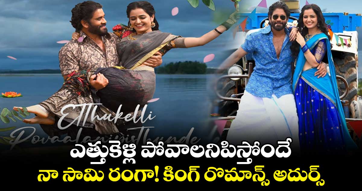 ఎత్తుకెళ్లి పోవాలనిపిస్తోందే..నా సామి రంగా! కింగ్ రొమాన్స్ అదుర్స్..