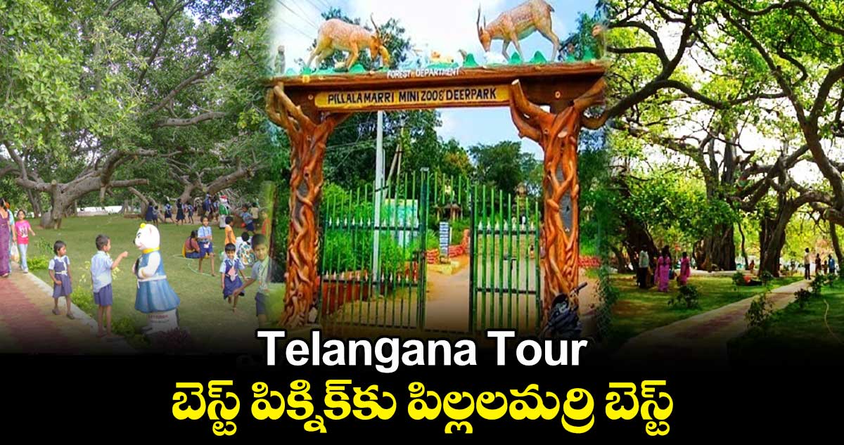 Telangana Tour : బెస్ట్ పిక్నిక్⁬కు పిల్లలమర్రి బెస్ట్