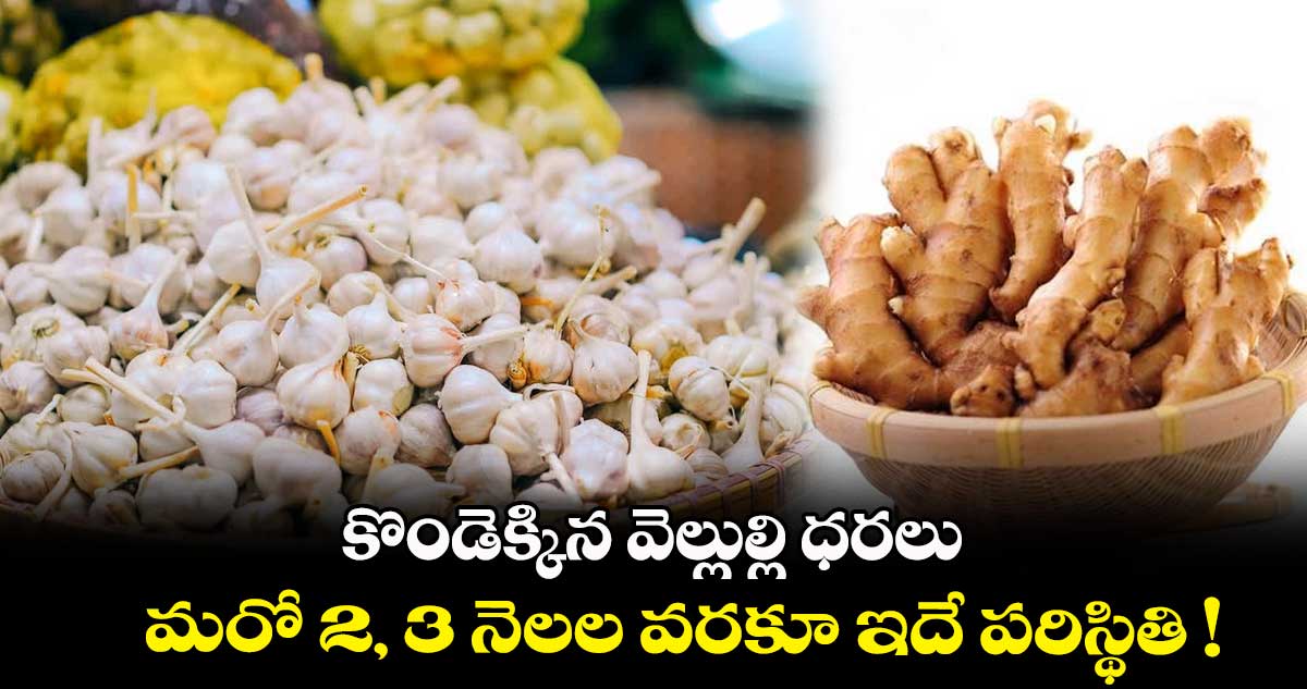 కొండెక్కిన వెల్లుల్లి ధరలు.. మరో 2, 3 నెలల వరకూ ఇదే పరిస్థితి !