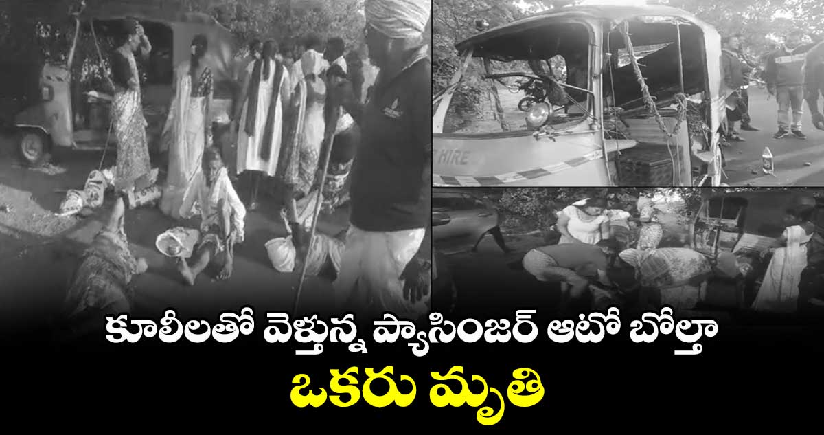 కూలీలతో వెళ్తున్న ప్యాసింజర్ ఆటో బోల్తా.. ఒకరు మృతి