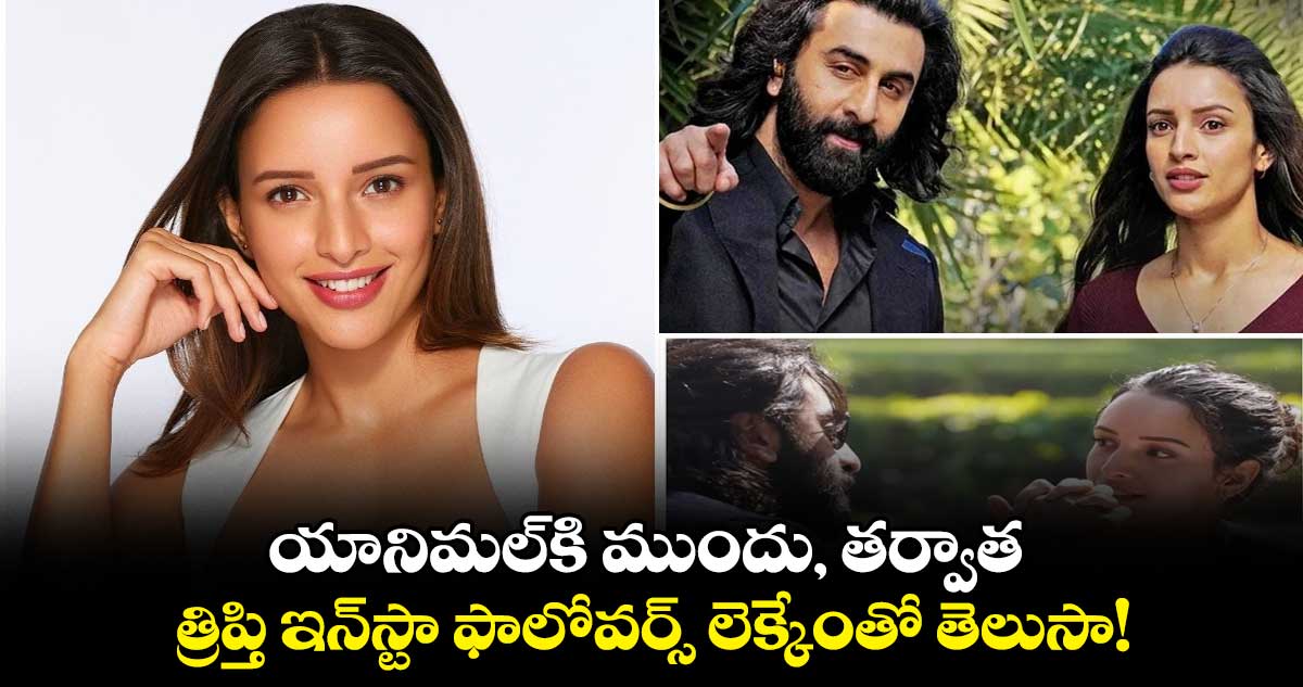 Triptii Dimri: యానిమల్కి ముందు, తర్వాత.. త్రిప్తి ఇన్స్టా ఫాలోవర్స్ లెక్కేంతో తెలుసా!