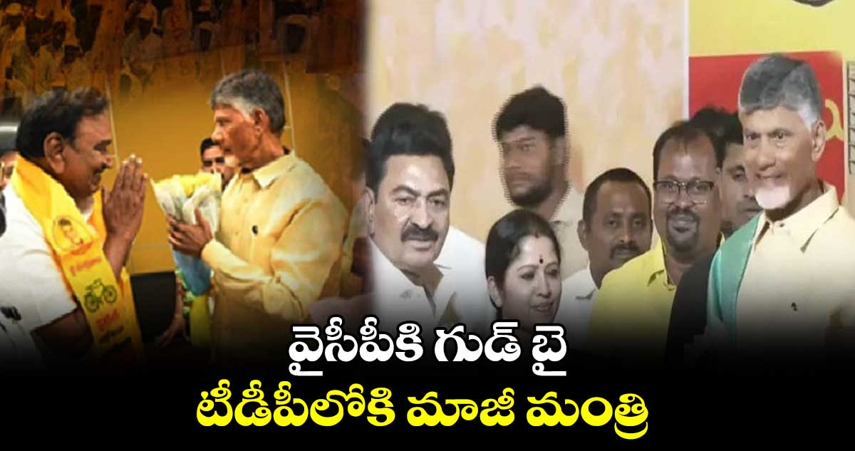 వైసీపీకి గుడ్ బై.... టీడీపీలోకి మాజీ మంత్రి