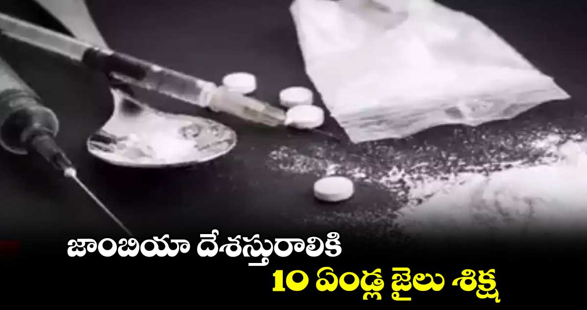 జాంబియా దేశస్తురాలికి 10 ఏళ్ల జైలు శిక్ష
