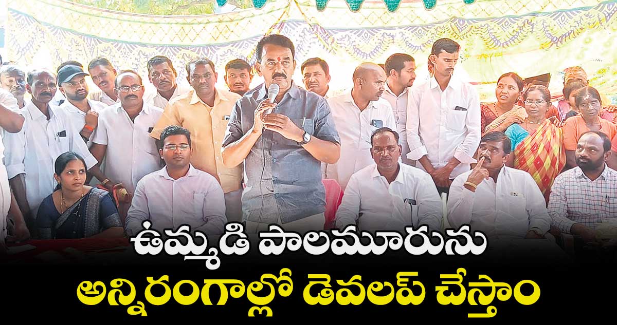 ఉమ్మడి పాలమూరును అన్నిరంగాల్లో డెవలప్​ చేస్తాం