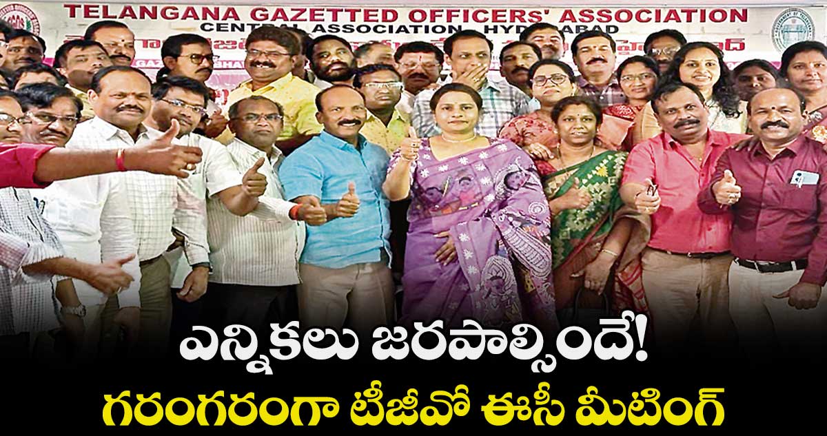 ఎన్నికలు జరపాల్సిందే!... గరంగరంగా టీజీవో ఈసీ మీటింగ్