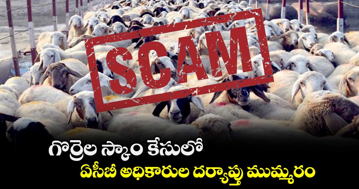 గొర్రెల స్కాం కేసులో ఏసీబీ అధికారుల దర్యాప్తు ముమ్మరం..