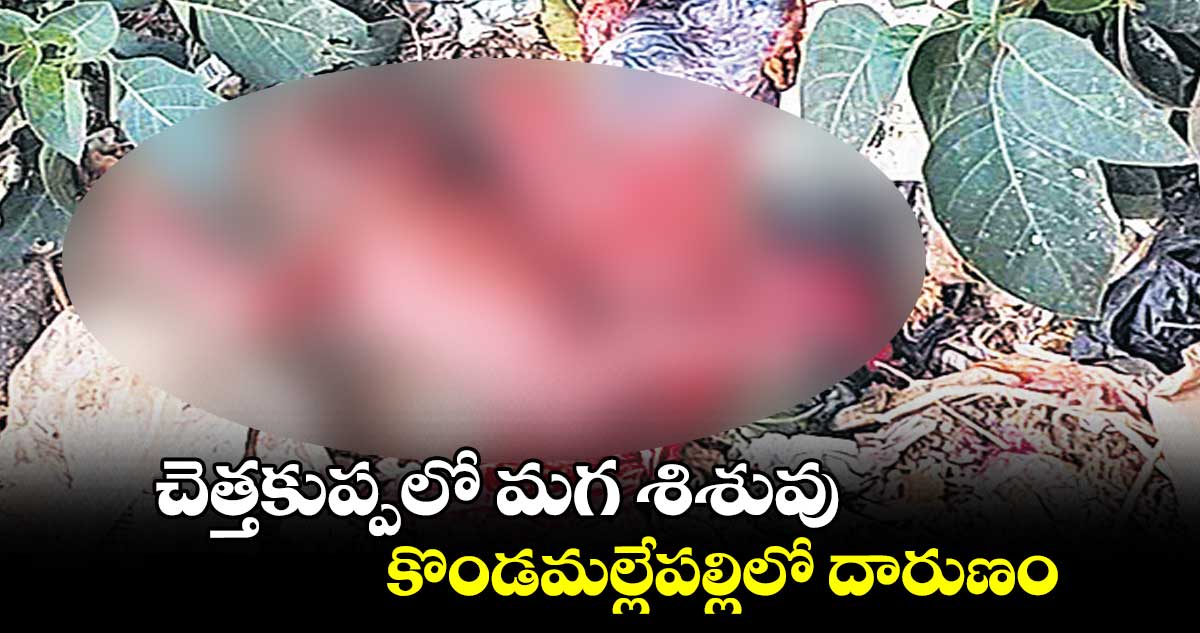 చెత్తకుప్పలో మగ శిశువు.. కొండమల్లేపల్లిలో దారుణం