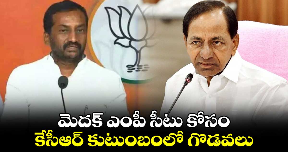 మెదక్ ఎంపీ సీటు కోసం కేసీఆర్ కుటుంబంలో గొడవలు :   రఘునందన్ రావు