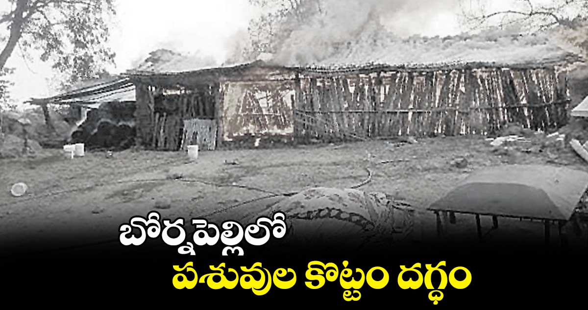 బోర్నపెల్లిలో పశువుల కొట్టం దగ్ధం