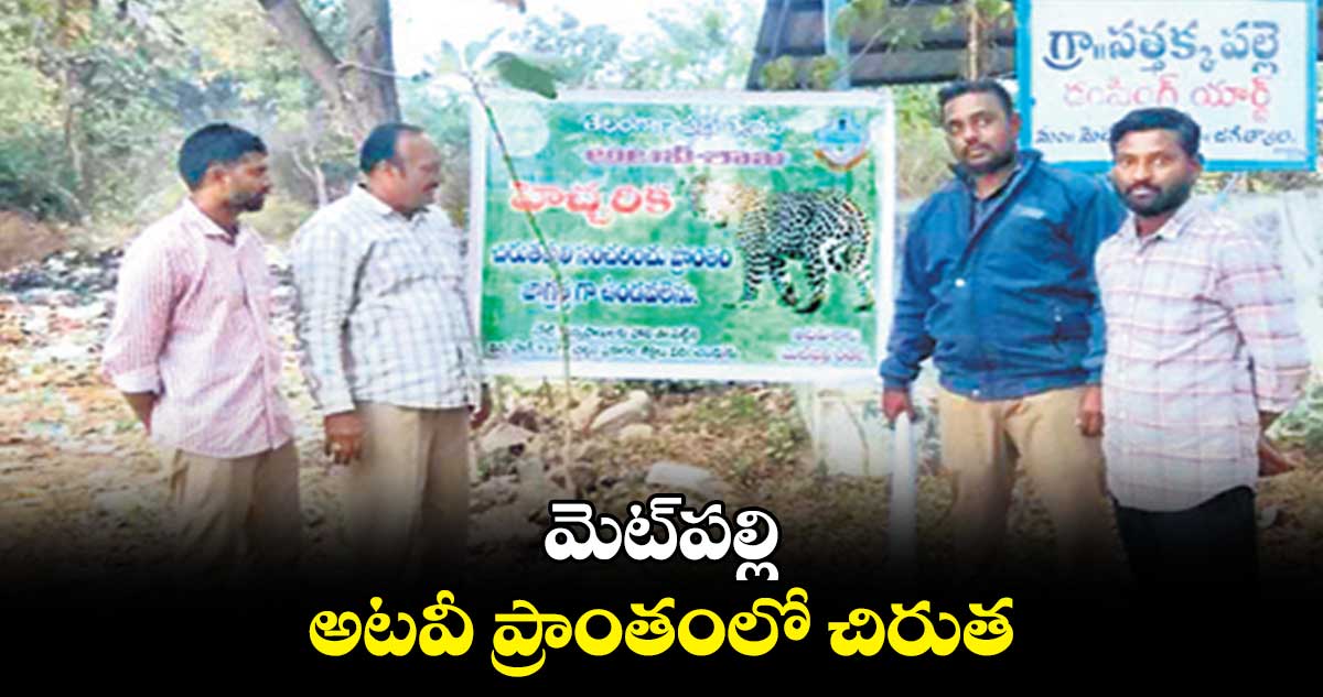 మెట్‌‌‌‌‌‌‌‌పల్లి అటవీ ప్రాంతంలో చిరుత 