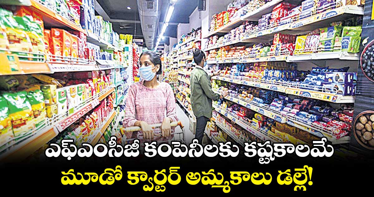 ఎఫ్ఎంసీజీ కంపెనీలకు కష్టకాలమే.. మూడో క్వార్టర్ అమ్మకాలు డల్లే!