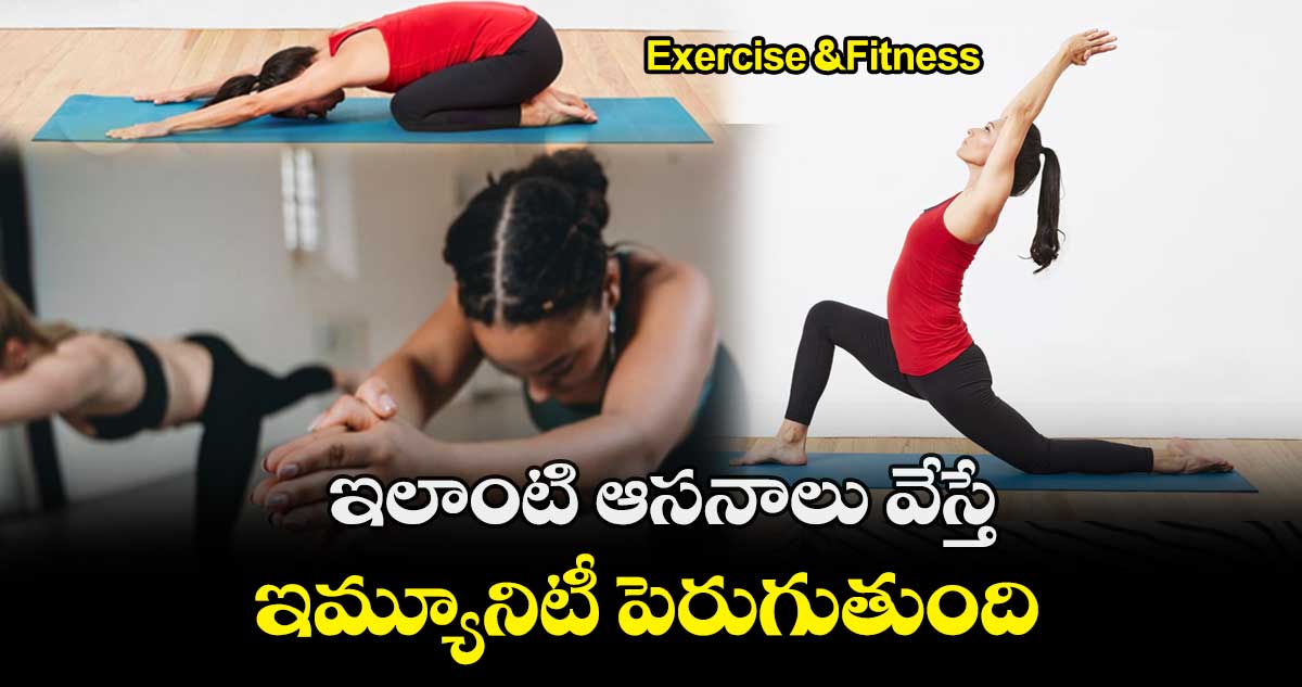 Exercise & Fitness : ఇలాంటి ఆసనాలు వేస్తే.. ఇమ్యూనిటీ పెరుగుతుంది