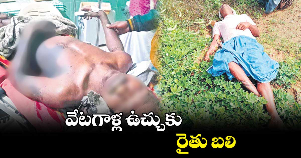 వేటగాళ్ల ఉచ్చుకు రైతు బలి