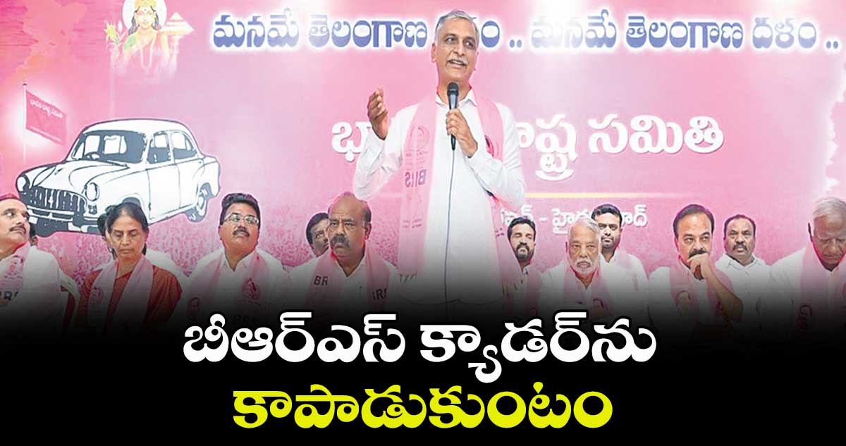 బీఆర్ఎస్ క్యాడర్‌‌‌‌ను కాపాడుకుంటం : హరీశ్​రావు