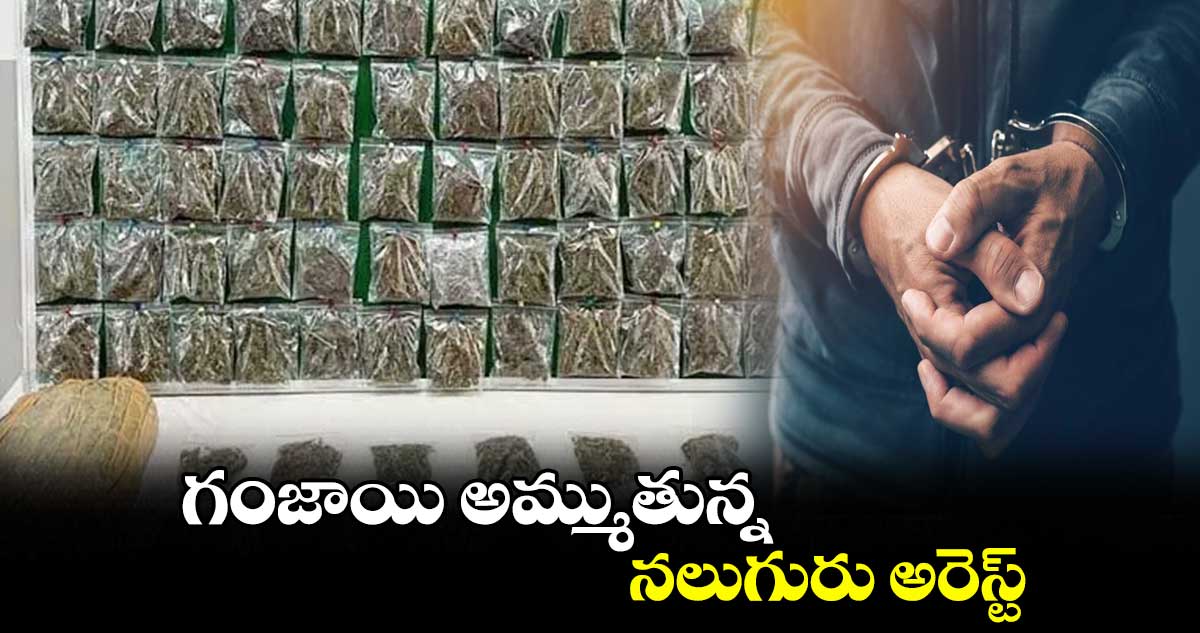 గంజాయి అమ్ముతున్న నలుగురు అరెస్ట్