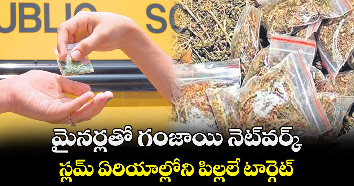 మైనర్లతో గంజాయి నెట్వర్క్.. స్లమ్ ఏరియాల్లోని పిల్లలే టార్గెట్